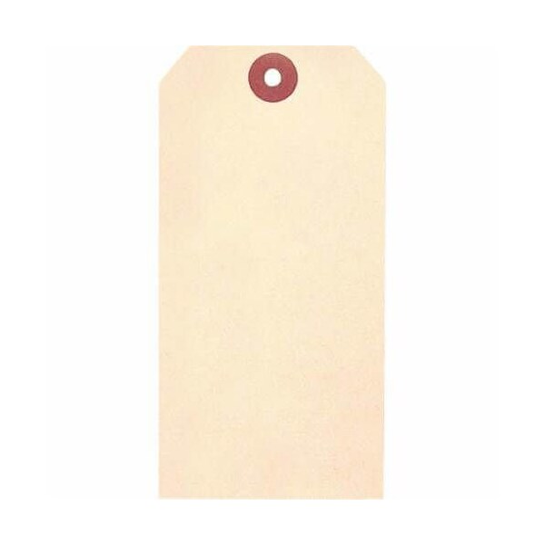 Accuform Blank Tag, 258 in Width, 514 in Height, 13 PT Cardstock, Manila, 316 in Hole TBB116P - main